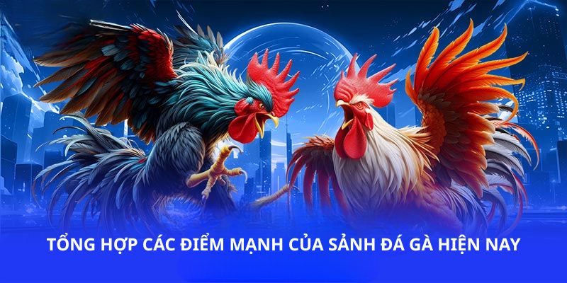 Tổng hợp các điểm mạnh của sảnh đá gà BK8 hiện nay
